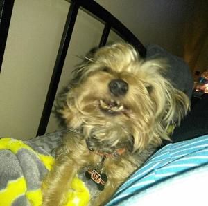 Meet your Posher, Scott